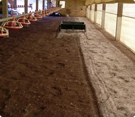 Aplicação semi-automática