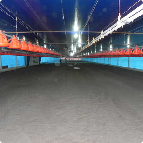 Cama ideal para aplicação