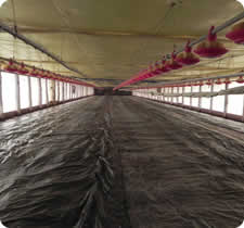 Enlonamento p/ fermentação